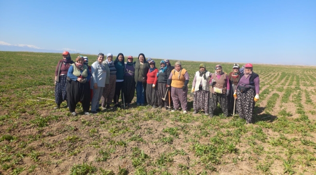 İYİ PARTİ BELEDİYE MECLİS ÜYESİ ADAYI MELTEM ORHAN'DAN 8 MART MESAJI