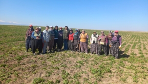 İYİ PARTİ BELEDİYE MECLİS ÜYESİ ADAYI MELTEM ORHAN'DAN 8 MART MESAJI