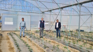 İLÇE TARIM YETKİLİLERİ,ÖRTÜ ALTI ALANLARDA İNCELEMELERDE BULUNDU