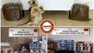 Jandarma'dan kaçakçılara darbe binlerce kaçak tütün ele geçirdi 