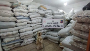 Jandarma'dan kaçakçılık operasyonu:14 ton ele geçirildi! 