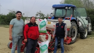 TAKEP KAPSAMINDA KURU FASULYE EKİMİ 