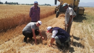 BİÇERDÖVER KONTROLLERİ DEVAM EDİYOR 