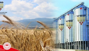 TMO ARPA BUĞDAY ALIM RANDEVULARI AÇILDI 