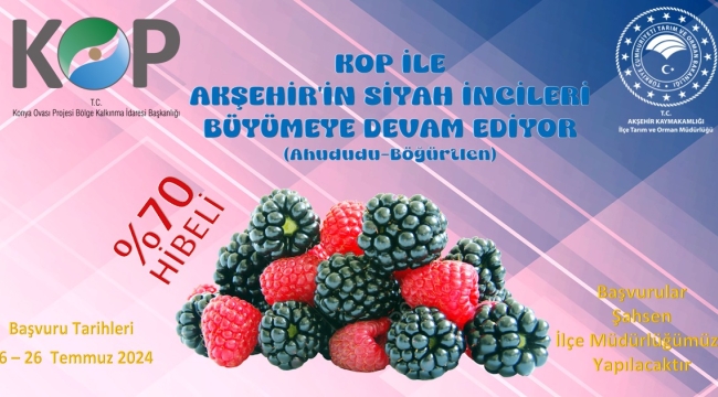 AHUDUDU/BÖĞÜRTLEN BAHÇESİ'NDE SON BAŞVURU 26 TEMMUZ 