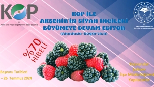 AHUDUDU/BÖĞÜRTLEN BAHÇESİ'NDE SON BAŞVURU 26 TEMMUZ 