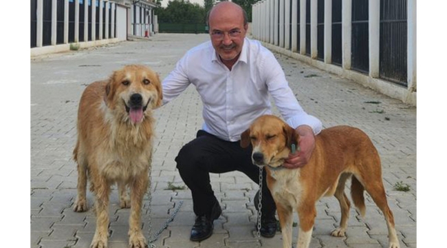 Başkan Köksal 2 Köpeği Sahiplendi 