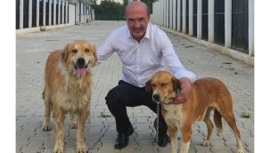 Başkan Köksal 2 Köpeği Sahiplendi 