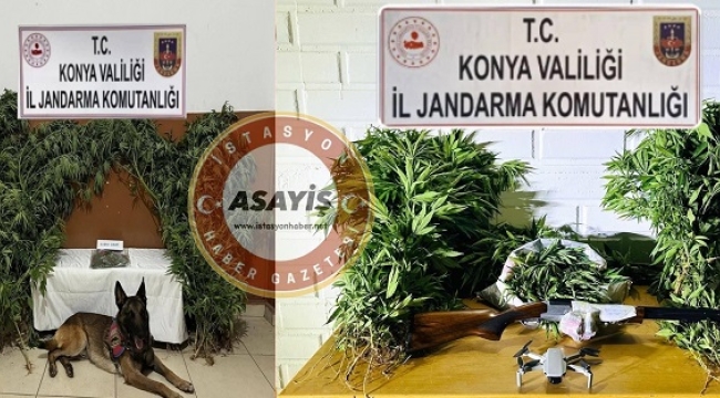 Jandarma'dan Konya'nın 5 ilçesinde zehir tacirlerine operasyon! 