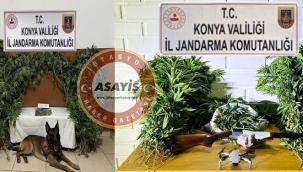 Jandarma'dan Konya'nın 5 ilçesinde zehir tacirlerine operasyon! 