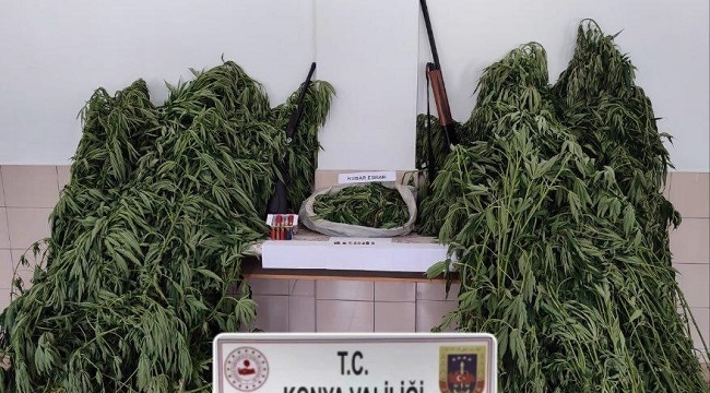 Konya Jandarmadan üç ilçede uyuşturucu operasyonu 