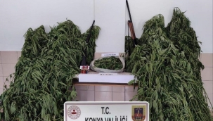 Konya Jandarmadan üç ilçede uyuşturucu operasyonu 