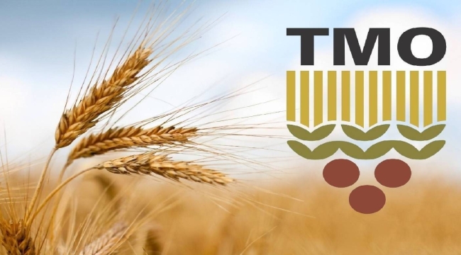 TMO HUBUBAT ALIMINI DURDURACAK