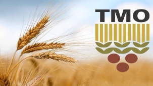 TMO HUBUBAT ALIMINI DURDURACAK 