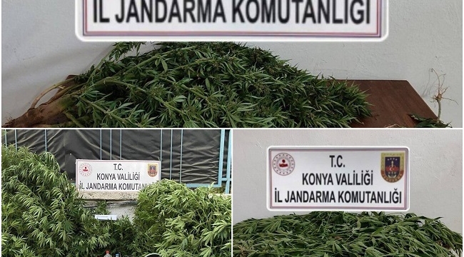 Jandarmadan 2 ilçede uyuşturucu operasyonu! 