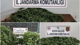 Jandarmadan 2 ilçede uyuşturucu operasyonu! 