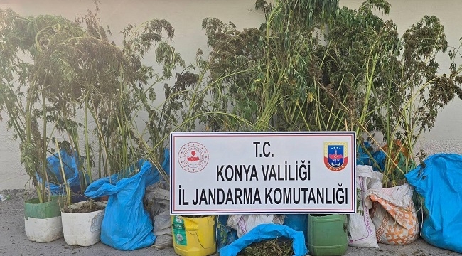 Jandarmadan 4 ilçede uyuşturucu operasyonu! 