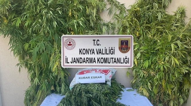 Konya Jandarmadan 2 ilçede uyuşturucu operasyonu!