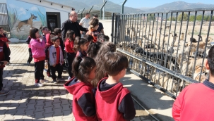 BAŞKAN KÖKSAL, HAYVANLARI KORUMA GÜNÜ'NDE ÇOCUKLARLA BULUŞTU 