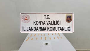 Konya'nın 2 ilçesinde jandarmadan uyuşturucu operasyonu 