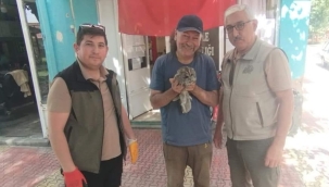 Yaralı Baykuşa Muhtar Sahip Çıktı 