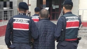 Jandarma'dan aranan şahıslara yönelik operasyon: 63 gözaltı  