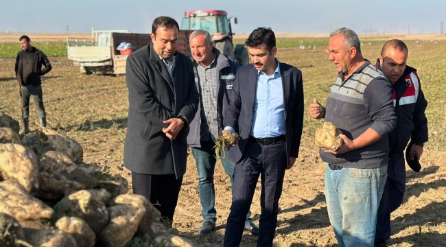 KAYMAKAM ÇINARKA,ŞEKER PANCARI HASADINA KATILDI 