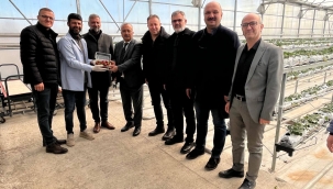 AVRUPA'NIN EN BÜYÜK SERASINDA İLK HASAT YAPILDI 