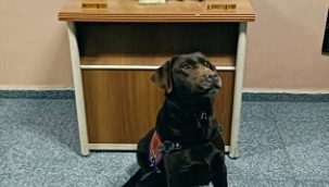 Konya'da jandarma bir evde silah ve uyuşturucu ele geçirdi 