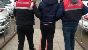 Konya'nın 2 ilçesinde jandarmadan kaçakçılara operasyon 