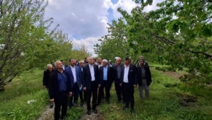 BAYRAKTAR: ÇİFTÇİMİZİN EMEĞİ BİR GECEDE YOK OLDU 