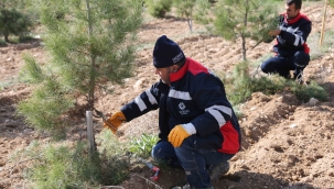 MERAM'IN PARK VE BAHÇELERİNE BAHAR DOKUNUŞU 