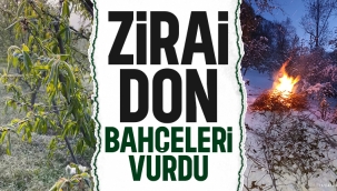 MEYVE BAHÇELERİNDE ZİRAİ DON NEDENİYLE %90-95 ORANINDA ZARAR 