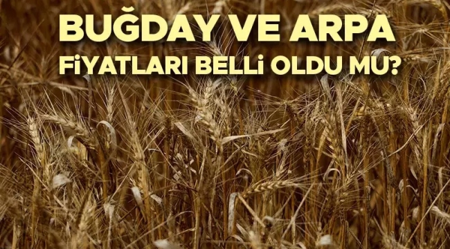 2025 YILI HUBUBAT ALIM FİYATLARI BELLİ OLDU 