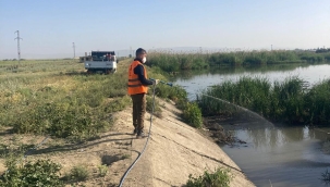 AKŞEHİR BELEDİYESİ İLAÇLAMA FAALİYETLERİNE BAŞLADI 