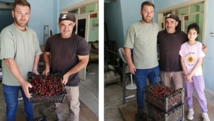 AKŞEHİR'DE İLK KİRAZ HASADI YAPILDI