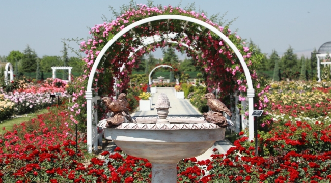 KILCA: GÜL KOKULU GÜNLERE YENİDEN ULAŞTIK