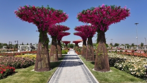 KILCA: GÜL KOKULU GÜNLERE YENİDEN ULAŞTIK 