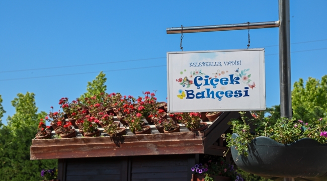 TURİZMİN GÖZDESİ SELÇUKLU ÇİÇEK BAHÇESİ ZİYARETÇİLERİNİ BEKLİYOR 