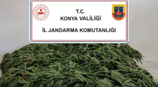 Konya Jandarma'dan 2 ilçede uyuşturucu operasyonu!