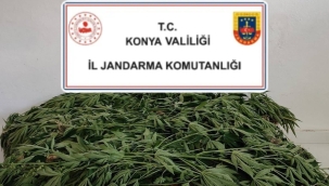 Konya Jandarma'dan 2 ilçede uyuşturucu operasyonu! 