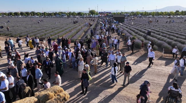 TÜRKİYE'NİN EN BÜYÜK LAVANTA BAHÇESİ'NDE FESTİVAL COŞKUSU 
