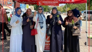 Yanan Ormanlarımız Yemyeşil Olsun 