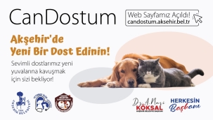 AKŞEHİR BELEDİYESİ'NDEN "CAN DOSTUM" SAHİPLENDİRME PLATFORMU! 