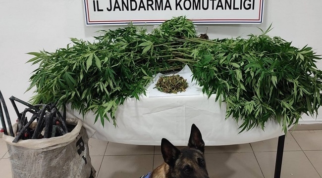 Konya'daki 3 ilçede zehir tacirlerine darbe! 