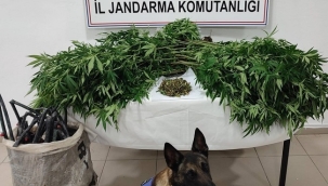 Konya'daki 3 ilçede zehir tacirlerine darbe! 