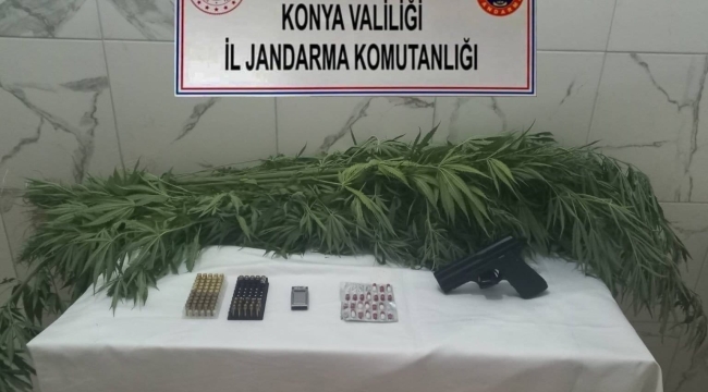 Konya'nın 3 ilçesinde jandarmadan uyuşturucu baskını