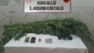 Konya'nın 3 ilçesinde jandarmadan uyuşturucu baskını