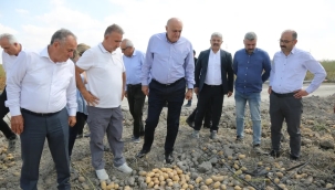BAŞKAN ERKOYUNCU: "2027 YILINDA PATATES TOHUMUNDA DIŞA BAĞIMLILIK BİTECEK" 