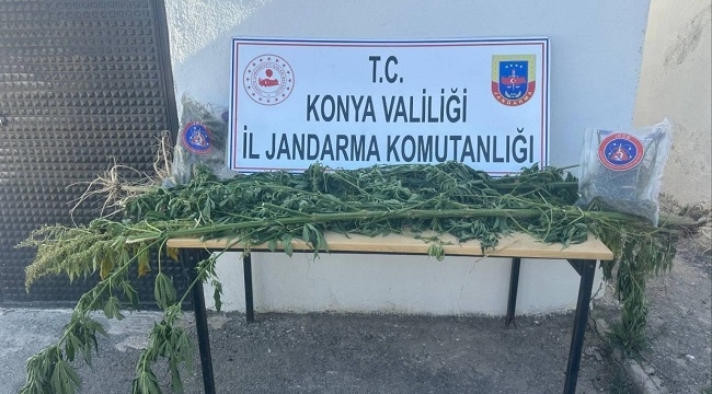 Konya'da Jandarma'dan uyuşturucu operasyonu! 